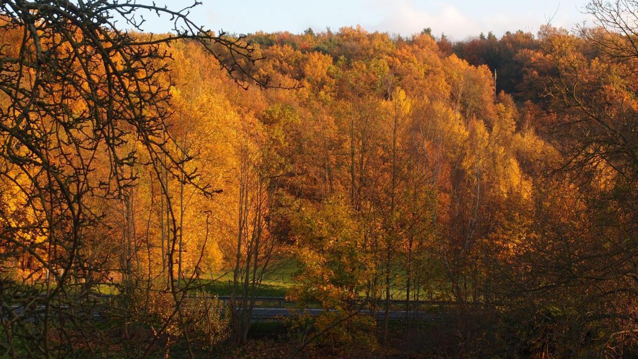 Ferienwohnung Und Pension "Zur Aue" Konigsbruck Bagian luar foto