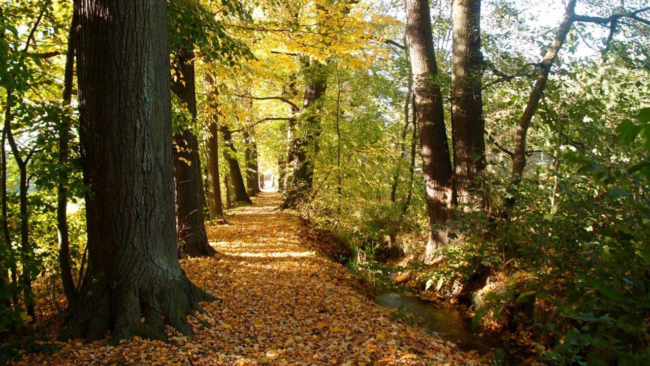 Ferienwohnung Und Pension "Zur Aue" Konigsbruck Bagian luar foto