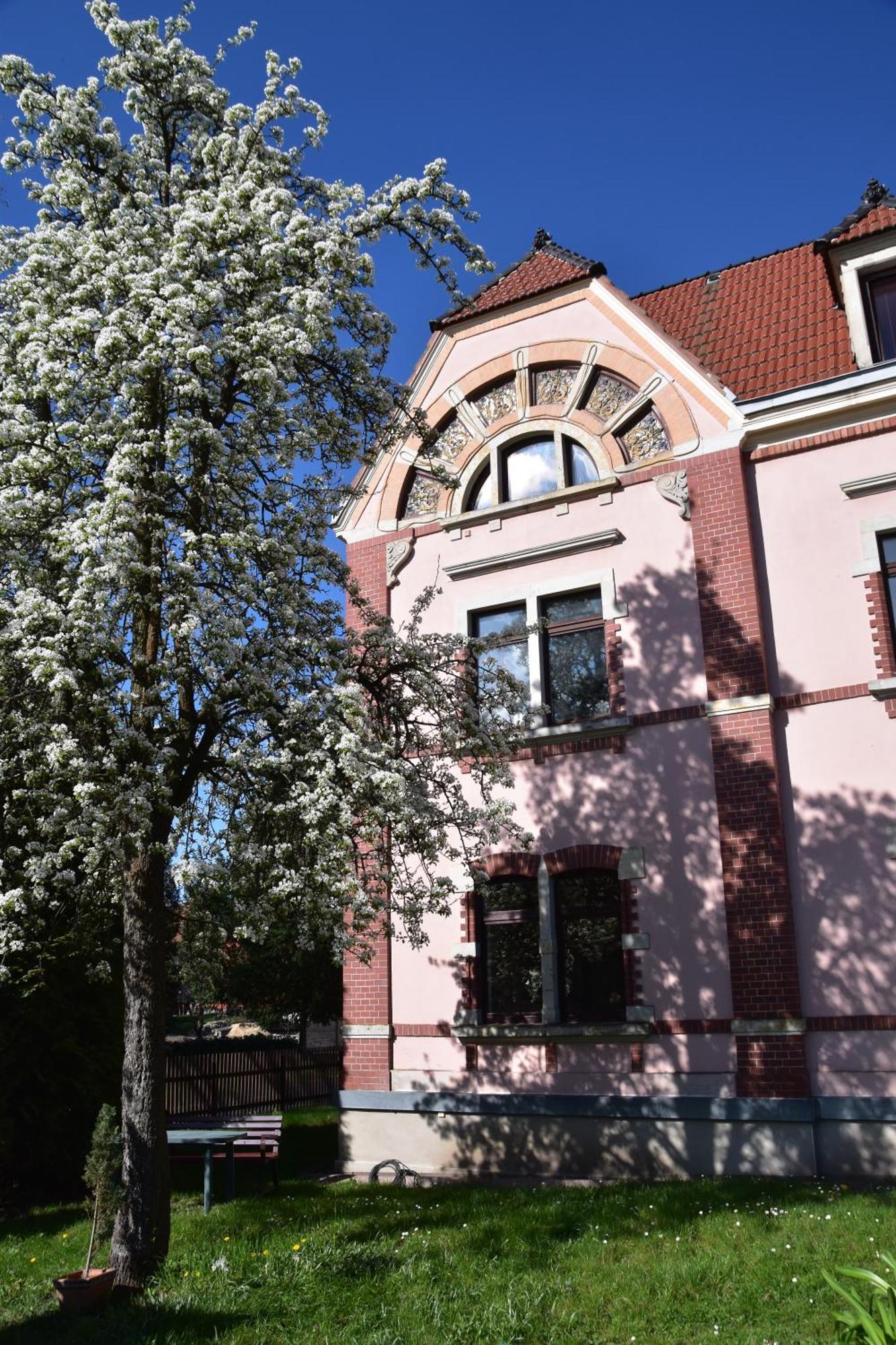 Ferienwohnung Und Pension "Zur Aue" Konigsbruck Bagian luar foto