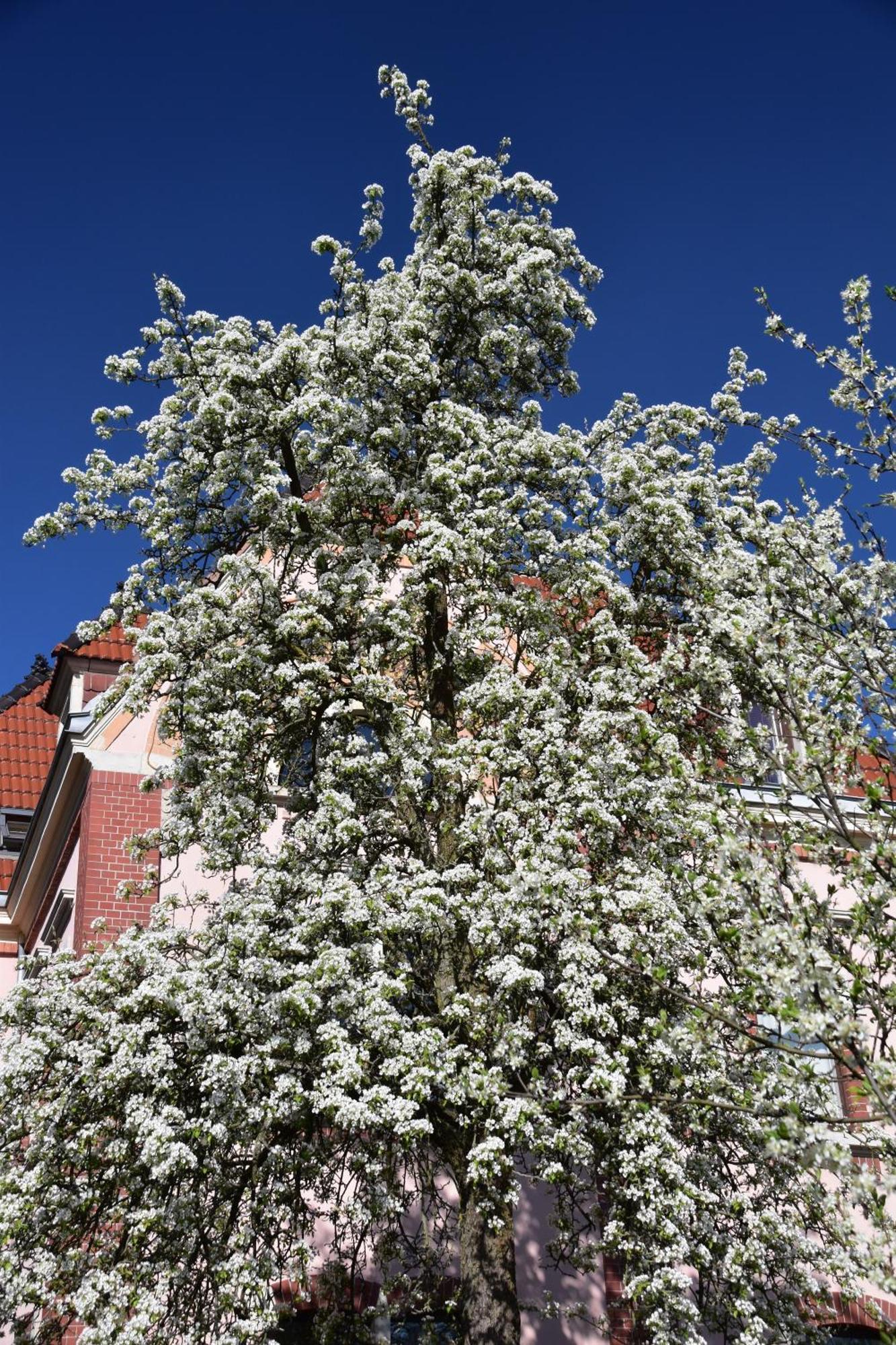 Ferienwohnung Und Pension "Zur Aue" Konigsbruck Bagian luar foto