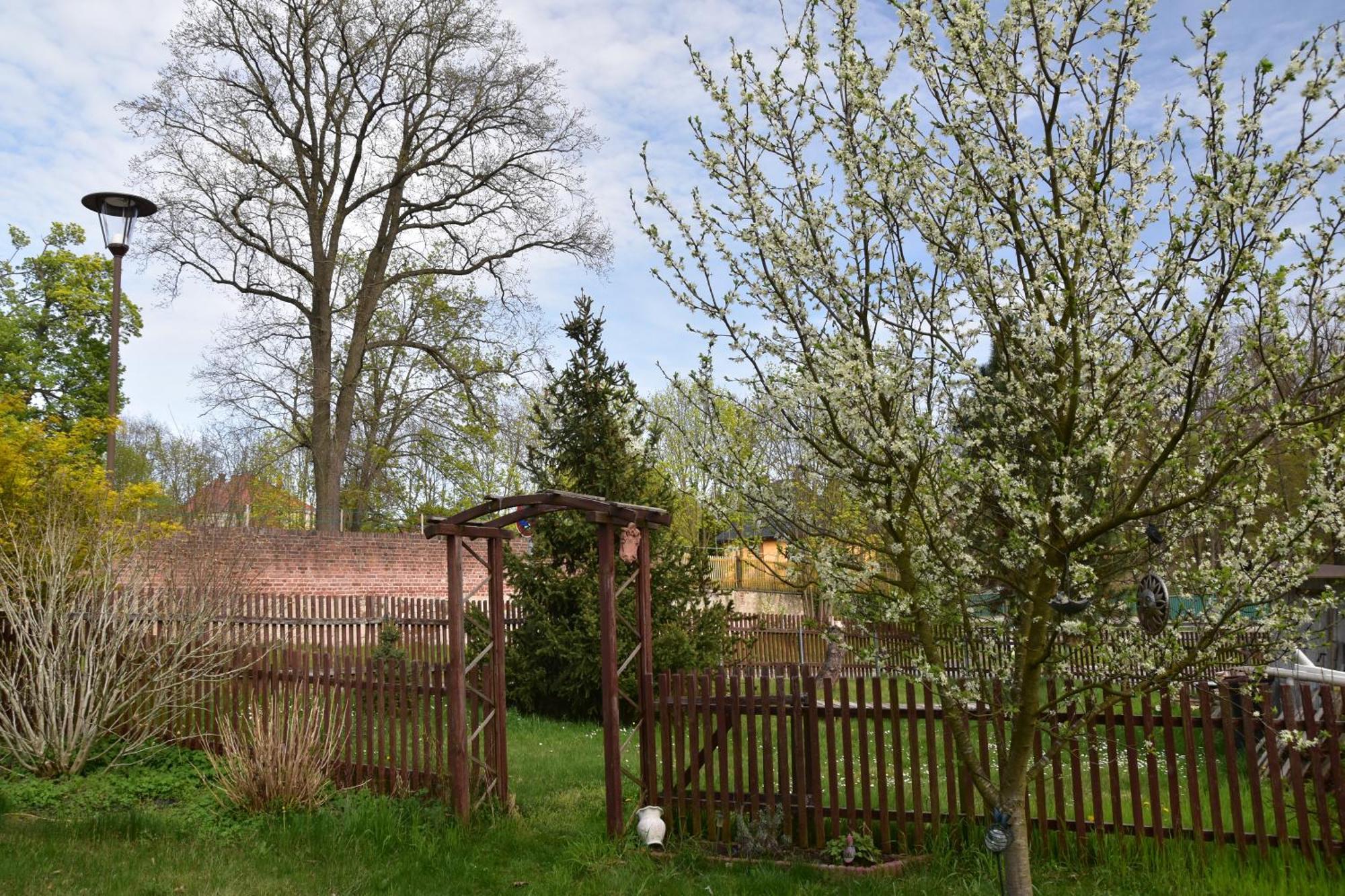 Ferienwohnung Und Pension "Zur Aue" Konigsbruck Bagian luar foto