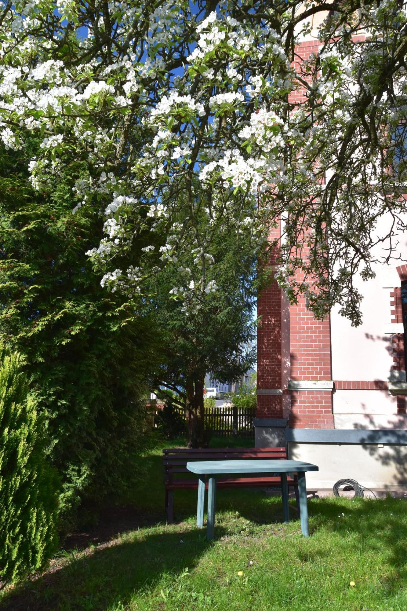 Ferienwohnung Und Pension "Zur Aue" Konigsbruck Bagian luar foto